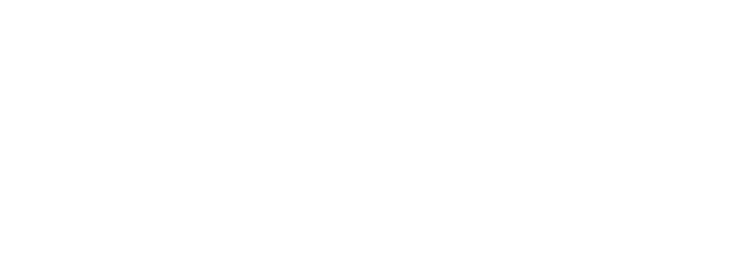 VisitBrussels_Logotype_RVB_Blanc